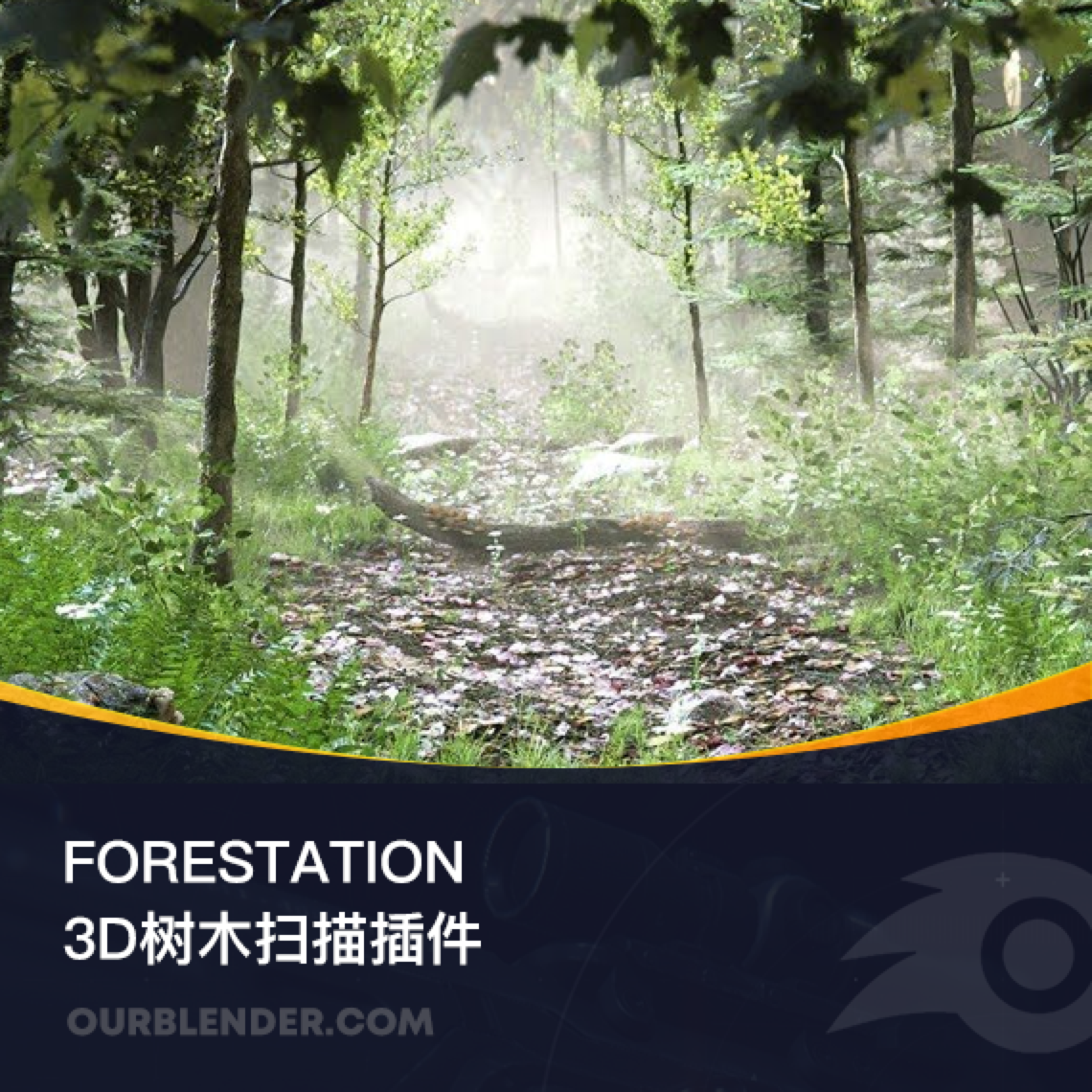 3D扫描树木插件 Forestation