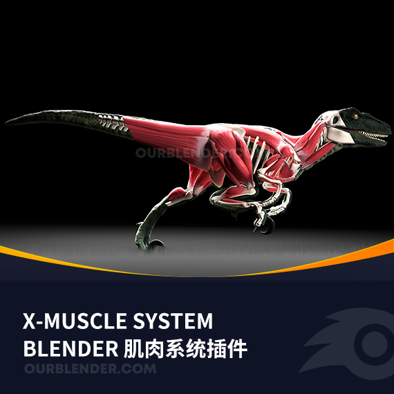Blender插件肌肉系统X-Muscle System